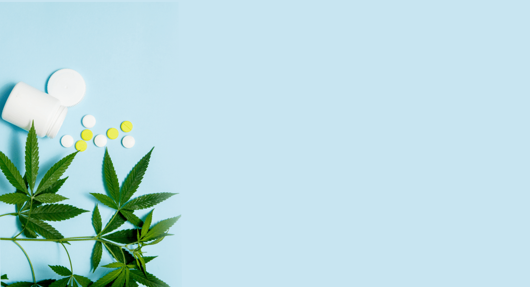 منشی و رابط